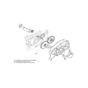 124 - Balancing Shaft Gear X30