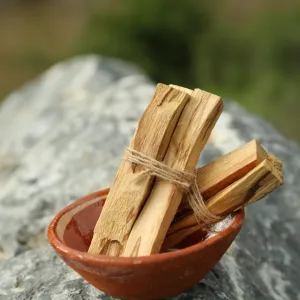 Palo Santo 3 Piece - Sustainably Sourced From Peru