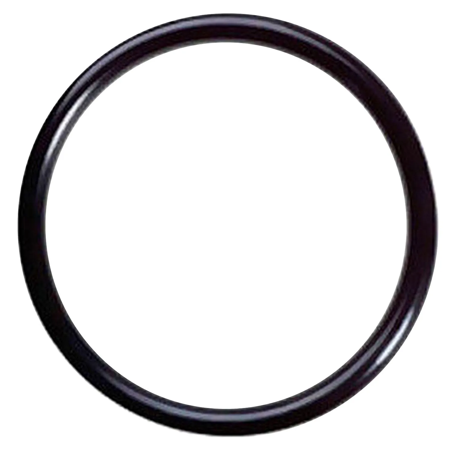 ScubaPro Galileo Sol/Luna/Terra Battery Cap O'ring